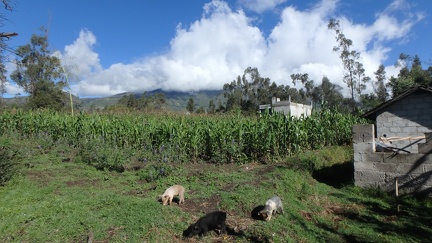 P1160897