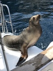 IMG 7756