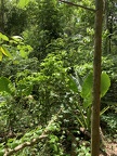 IMG 4733