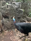 IMG 0341