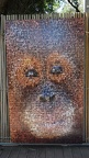 DSC09556