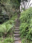 IMG 5320