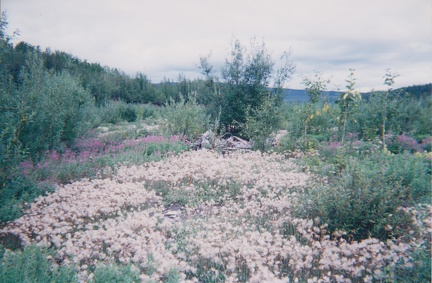 2001 Day Hiker Adventure (110)