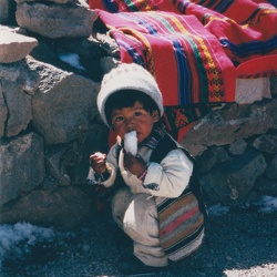 2002 Peru