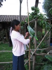 IMG 9292
