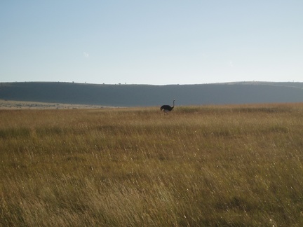 P6210587