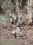 IMG 9147