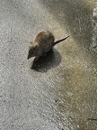 IMG 9155