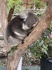 IMG 9164