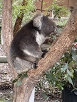 IMG 9165