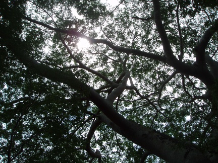 P7020062