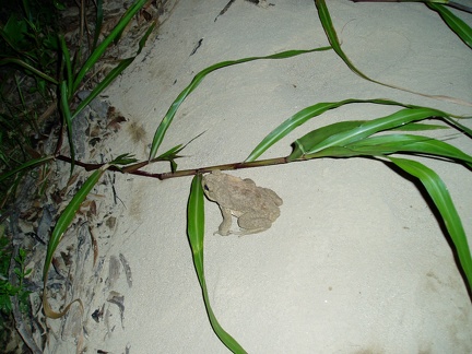 P4170234