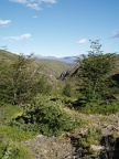 P1040354