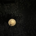 IMG 9573