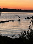 IMG 3637