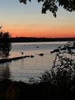 IMG 3638