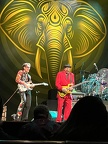 IMG 4550