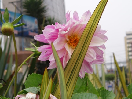 P4130041
