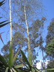 IMG 2758