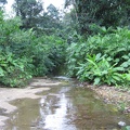 IMG 3474