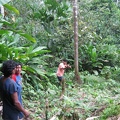 IMG 3484