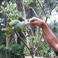 IMG 3521