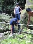 IMG 3610