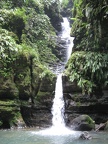 IMG 3612