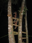 IMG 3855