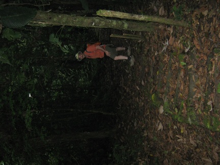 IMG 3895