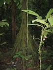 IMG 4000