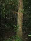 IMG 4002