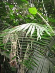 IMG 4024