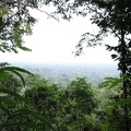 IMG 4046