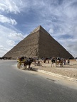 IMG 4969