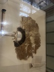 IMG 5300