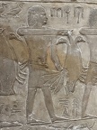 IMG 5335