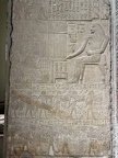 IMG 5339
