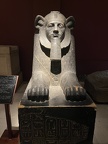 IMG 5368