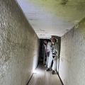 IMG 5640