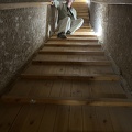 IMG 5728