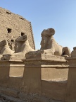 IMG 6844