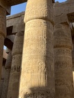 IMG 6978
