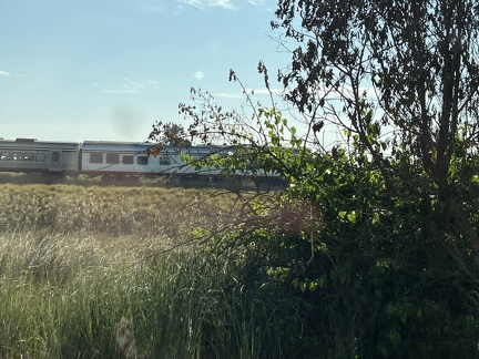 IMG 7058