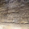 IMG 7436