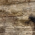 IMG 7448