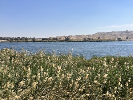 IMG 7750