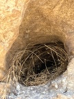 IMG 7753