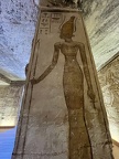 IMG 8735