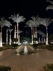 IMG 8849